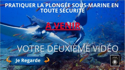 Devenir moniteur de plongée comment faire pour se former au métier de moniteur de plongée